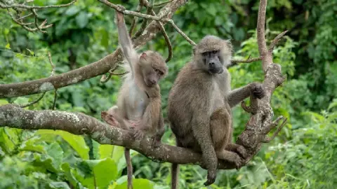 Arusha National Park