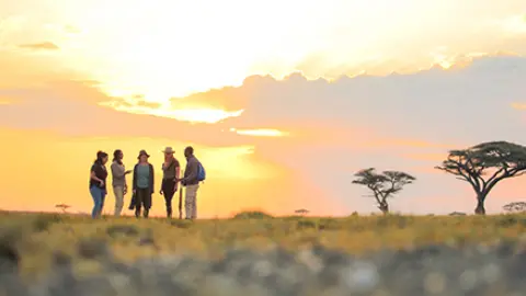 walking Safaris